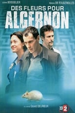 Poster de la película Des fleurs pour Algernon