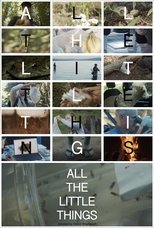 Poster de la película All the Little Things
