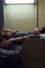 Poster de la película Labrador — Autopsy of Silence