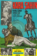 Poster de la película Kara Şahin
