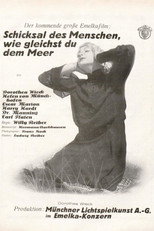 Poster de la película Sturmflut