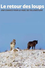 Poster de la película The Return of the Wolves: The Miracle in Yellowstone National Park