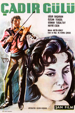 Poster de la película Çadır Gülü