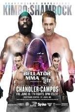 Poster de la película Bellator 138: Unfinished Business