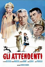 Poster de la película The Orderly