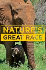 Poster de la serie Nature's Epic Journeys