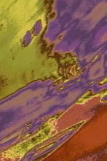 Poster de la película Thallus