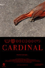 Poster de la película Cardinal