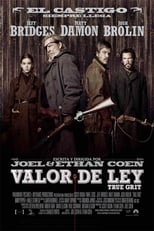 Poster de la película Valor de ley