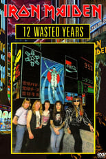 Poster de la película Iron Maiden: 12 Wasted Years