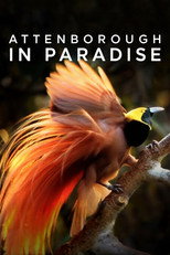 Poster de la película Attenborough in Paradise