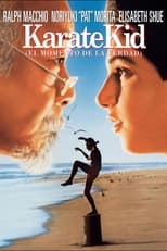 Poster de la película Karate Kid, el momento de la verdad