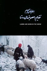Poster de la película Lambs Are Born in the Snow