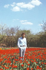 Poster de la película Tulip Field