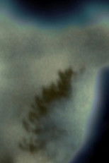 Poster de la película Per una selva oscura