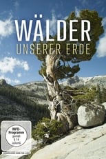 Poster de la película Wälder unserer Erde