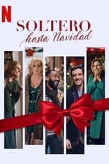 Poster de la película Soltero hasta Navidad