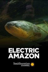 Poster de la película Electric Amazon