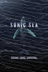 Poster de la película Sonic Sea