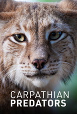 Poster de la serie Carpathian Predators