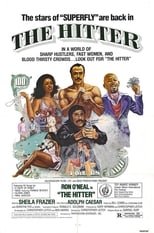Poster de la película The Hitter