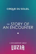 Poster de la película The Story Of An Encounter