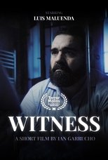 Poster de la película Witness