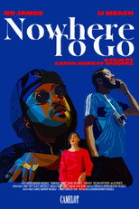 Poster de la película Nowhere To Go