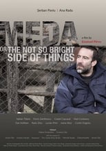 Poster de la película Meda or The Not So Bright Side of Things