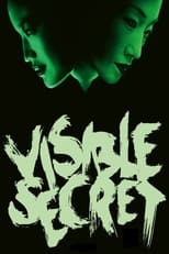 Poster de la película Visible Secret
