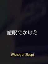 Poster de la película Pieces Of Sleep: The 1993 Japan Tour Re-Imagined