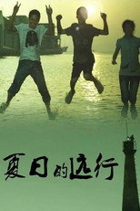 Poster de la película Summer travel