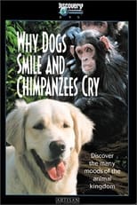 Poster de la película Why Dogs Smile and Chimpanzees Cry