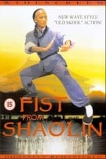 Poster de la película Fist from Shaolin