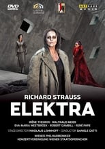 Poster de la película Strauss R: Elektra