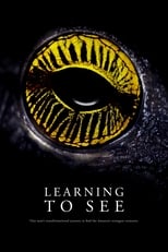 Poster de la película Learning To See