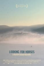 Poster de la película Looking for Horses