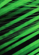 Poster de la película Water Spell