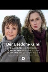 Poster de la película Am Ende einer Reise - Der Usedom-Krimi