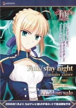 Fate/stay night