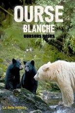 Poster de la película Ourse blanche, oursons noirs : la belle histoire