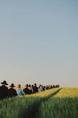 Poster de la película Os Cantadores de Paris