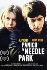 Poster de la película Pánico en Needle Park