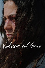 Poster de la película Returning South