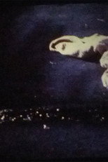 Poster de la película Trekkerriff