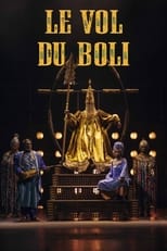 Poster de la película Le vol du Boli