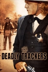 Poster de la película The Deadly Trackers