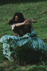 Poster de la película Rainbow Car Wash