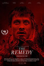 Poster de la película The Remedy