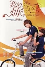 Poster de la serie 我的灿烂人生